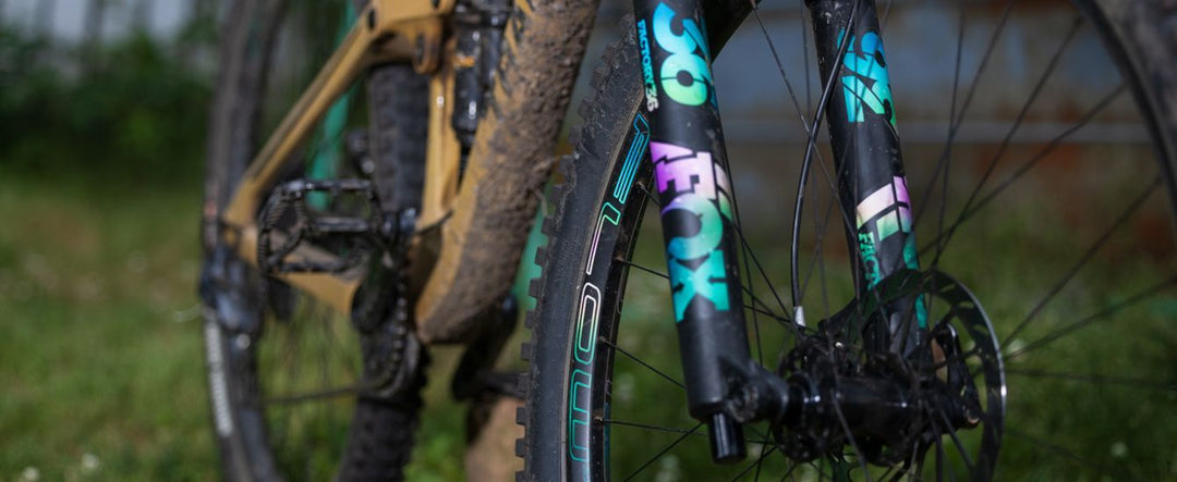 Bike Check: Robin Pyle's Customized Transition Sentinel