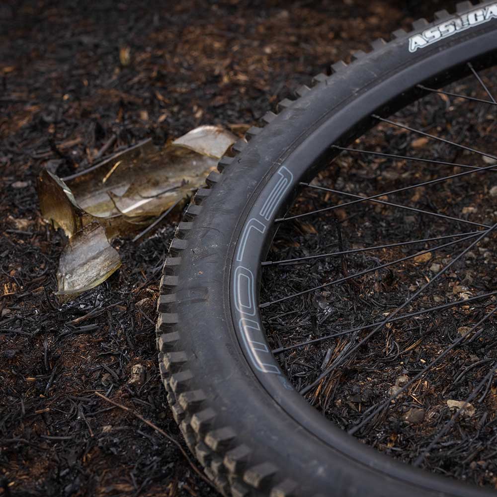 CHRISKING&STAN'S Flow mk4手組みフロントホイール 29\