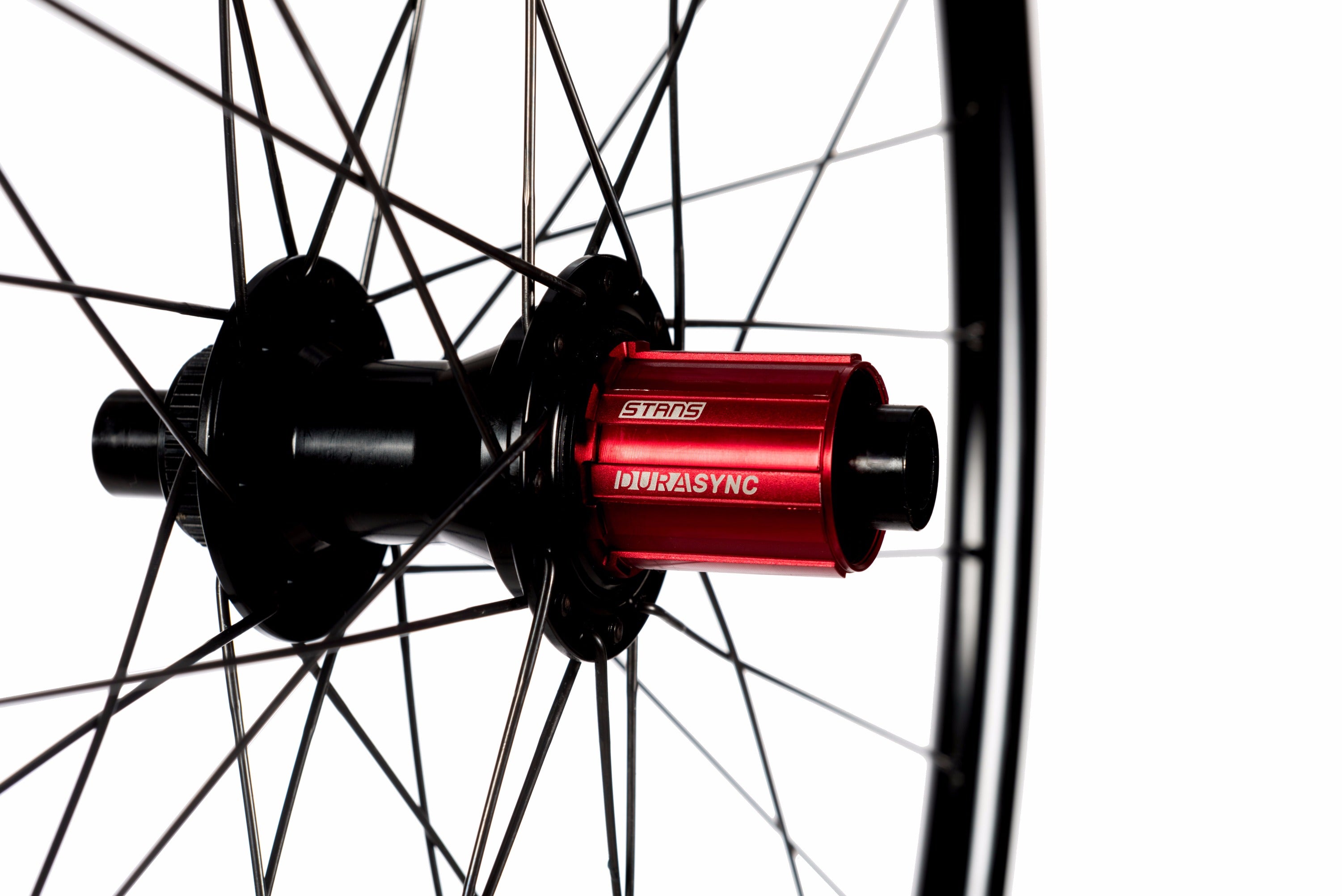 リール RAY's STUDIOSTEEZ CT ALPHAS RS-STZ-30 Grail Team Wheelset – Stan's